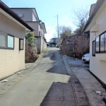 前面道路(周辺)