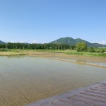 2Fからの景色。五城目町のシンボル”森山”を望むことができます。