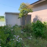 庭に物置あり。