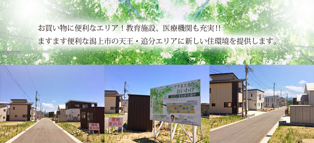 アクネスタウン追分