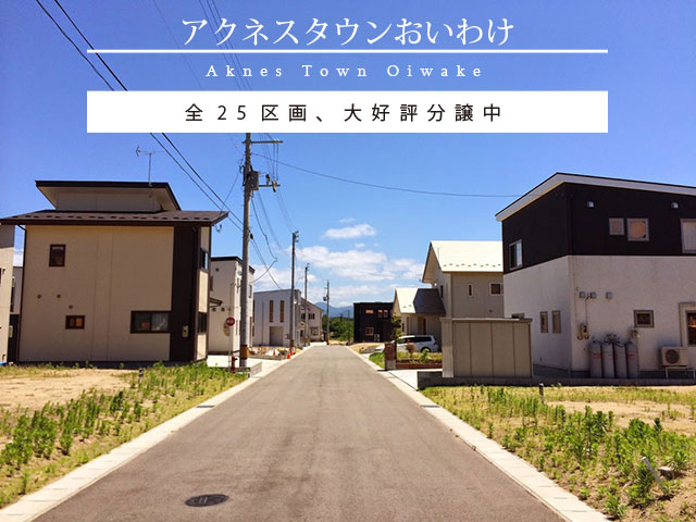 アクネスタウン追分